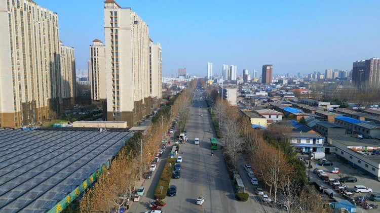 探秘许昌兆丰花鸟鱼市场——寻找生活的色彩与生机