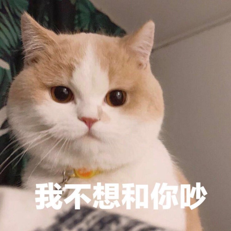 宠物猫便便特别臭怎么回事